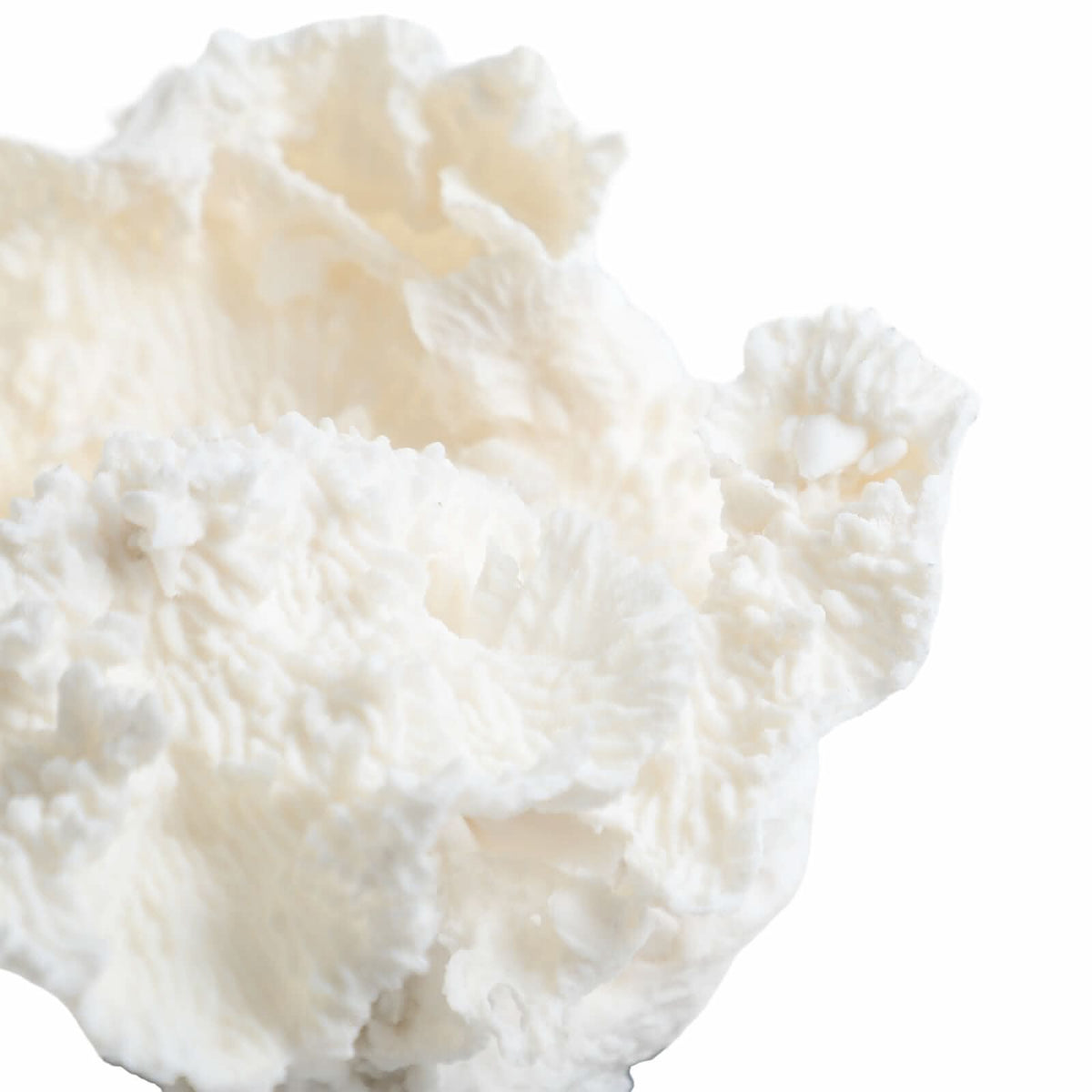 Keiichi Drift Artificial Coral Sculpture   Nicholas John Interiors