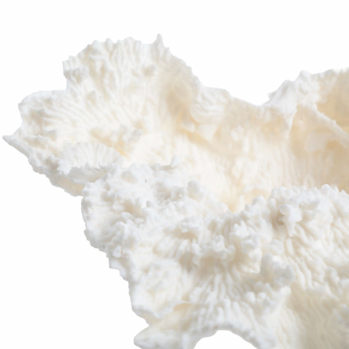 Keiichi Drift Artificial Coral Sculpture   Nicholas John Interiors