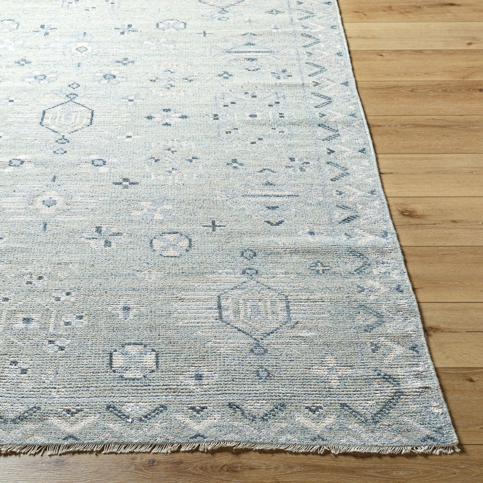 F8-ALM2302-81012 image 6