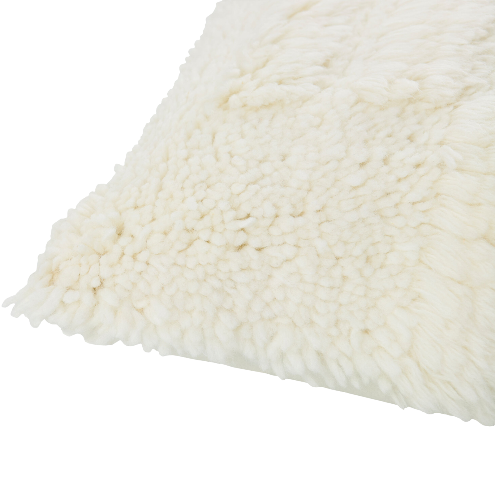 F8-LIZ001-2020 image 3