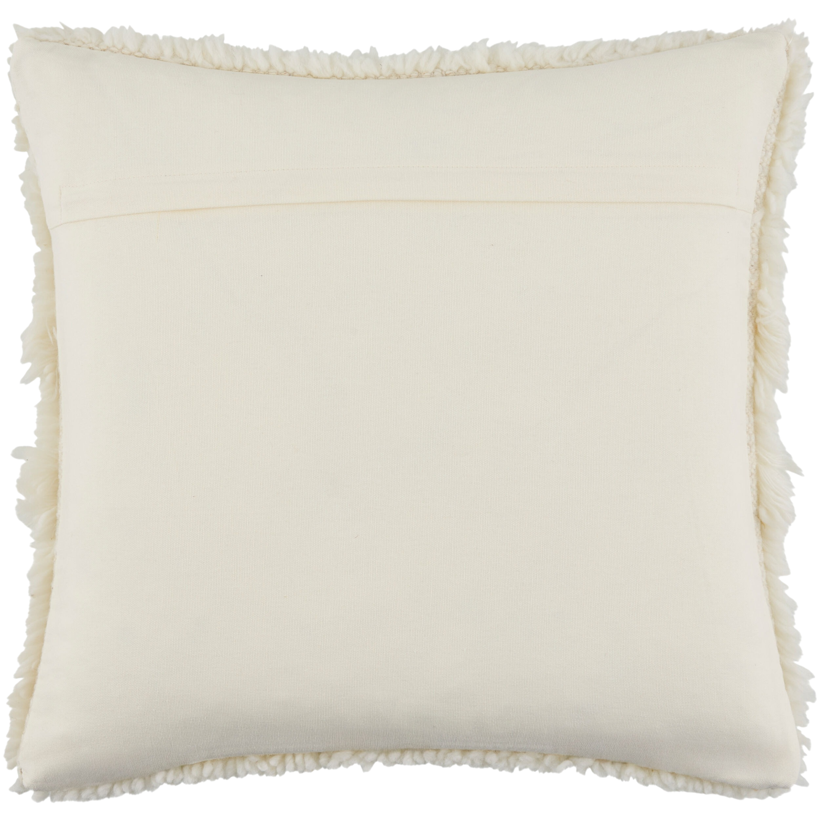 F8-LIZ001-2020 image 5