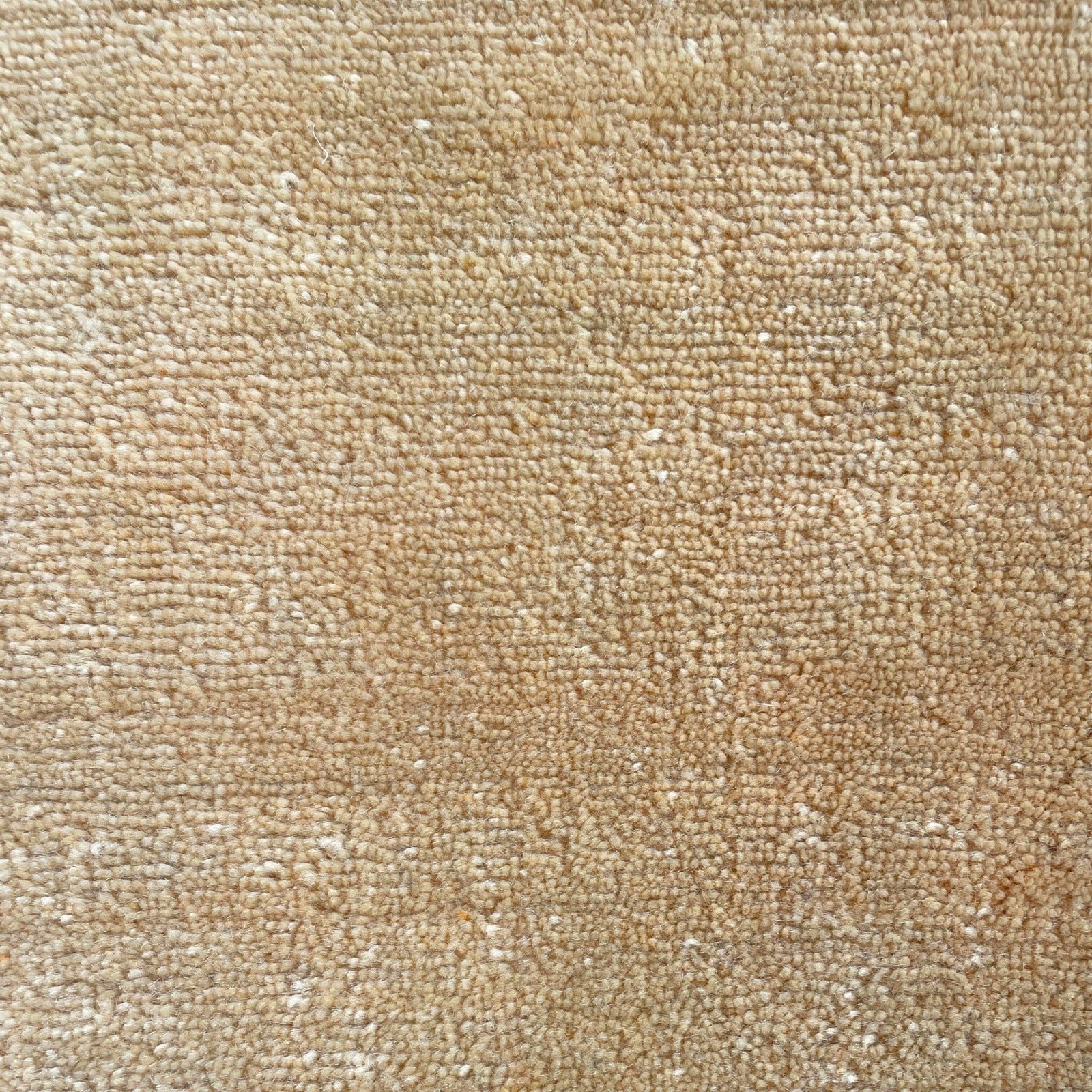 F8-MTD2301-810 image 3