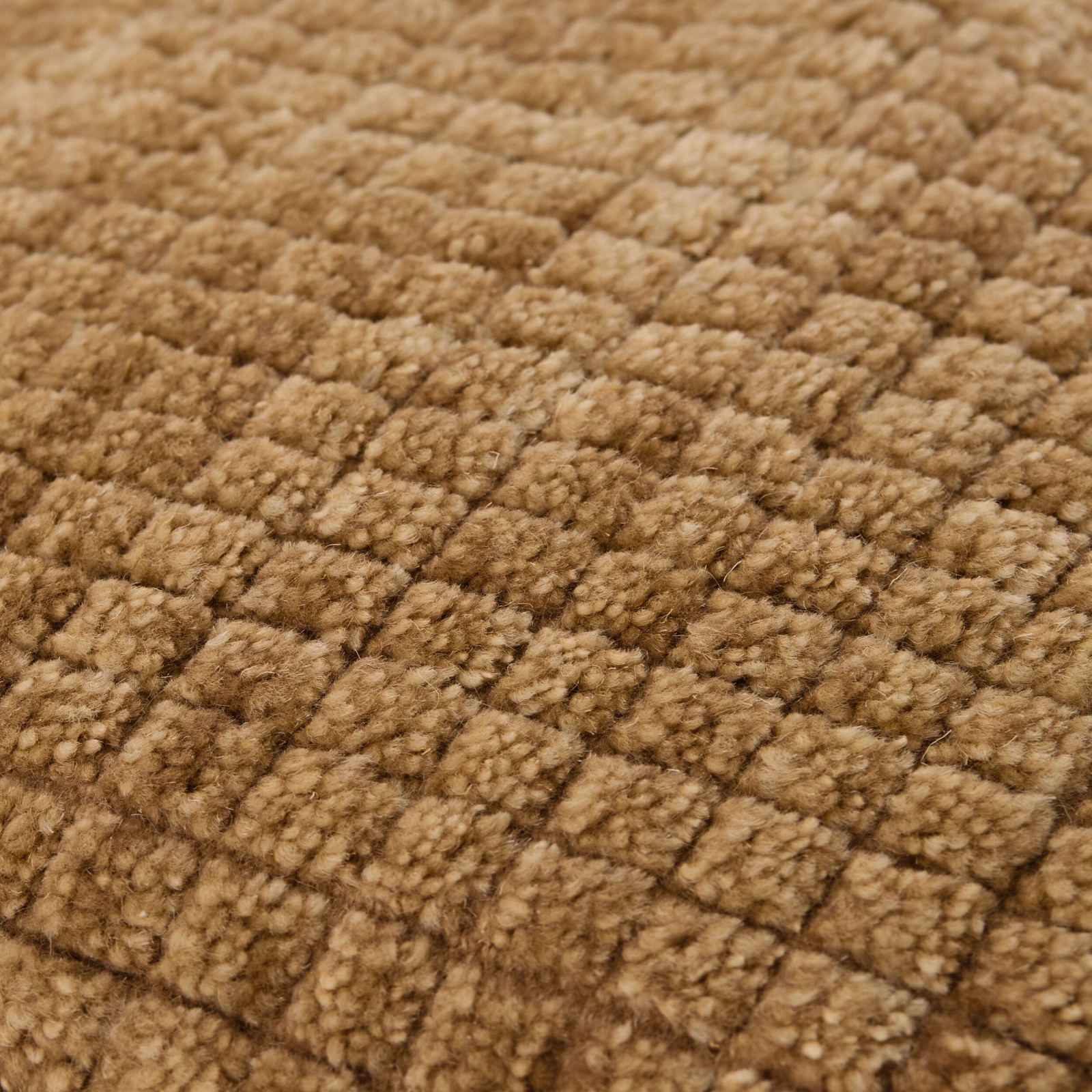 F8-NVO005-2020 image 4