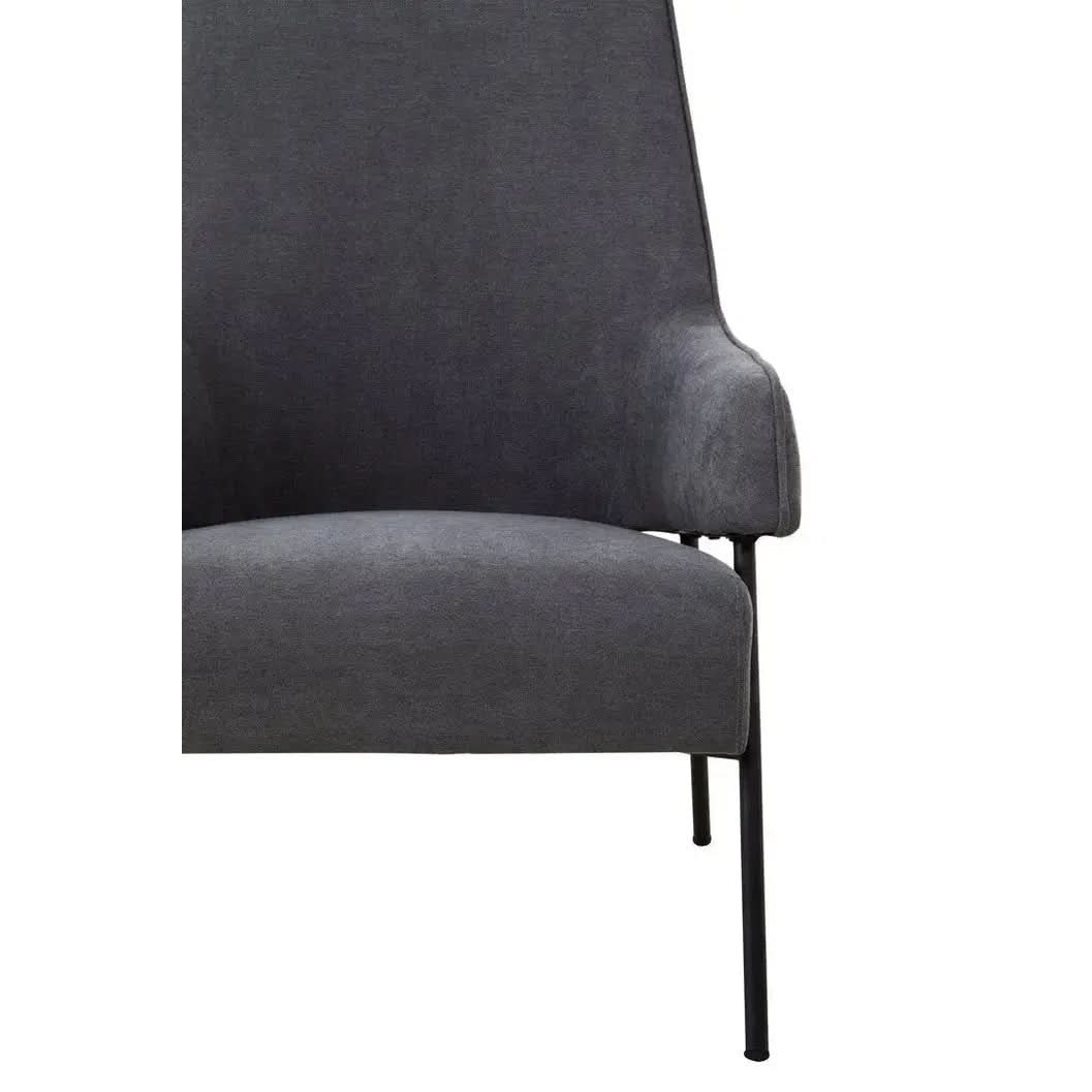 Havina Ash Velvet Chair   Nicholas John Interiors