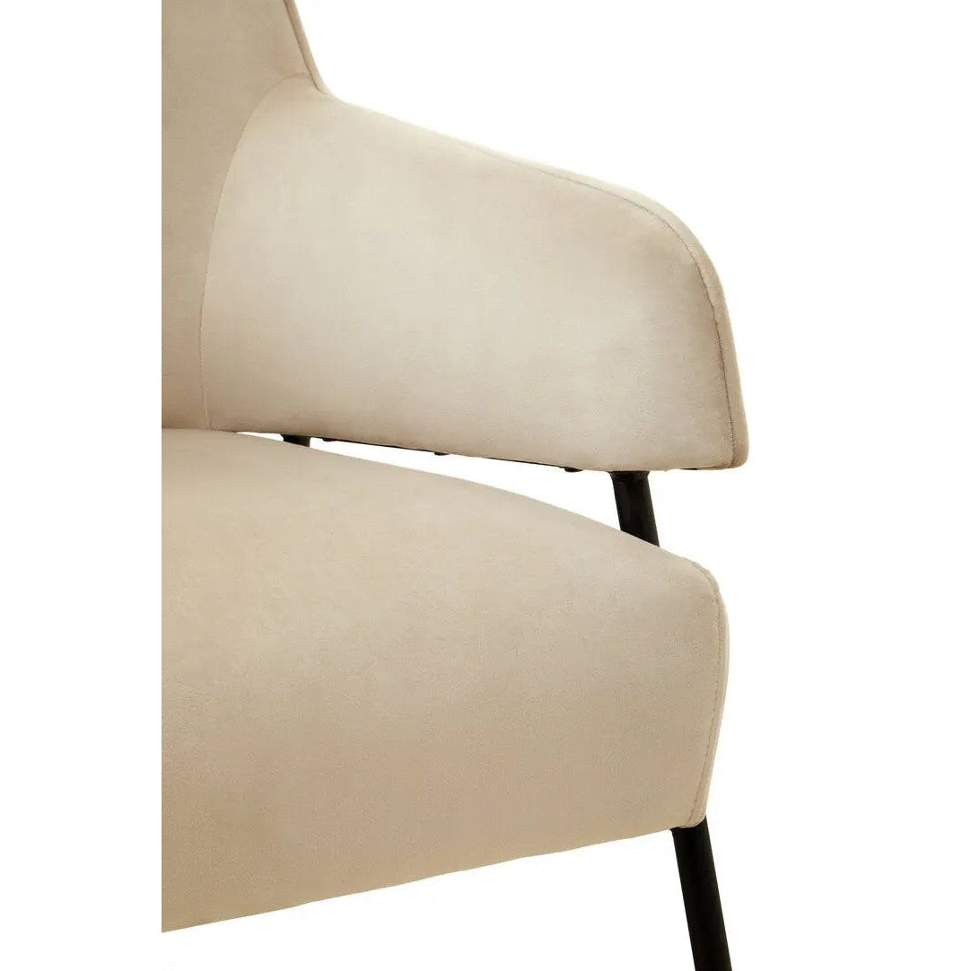 Havina Cream Velvet Chair   Nicholas John Interiors