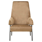 Havina Mink Velvet Chair   Nicholas John Interiors