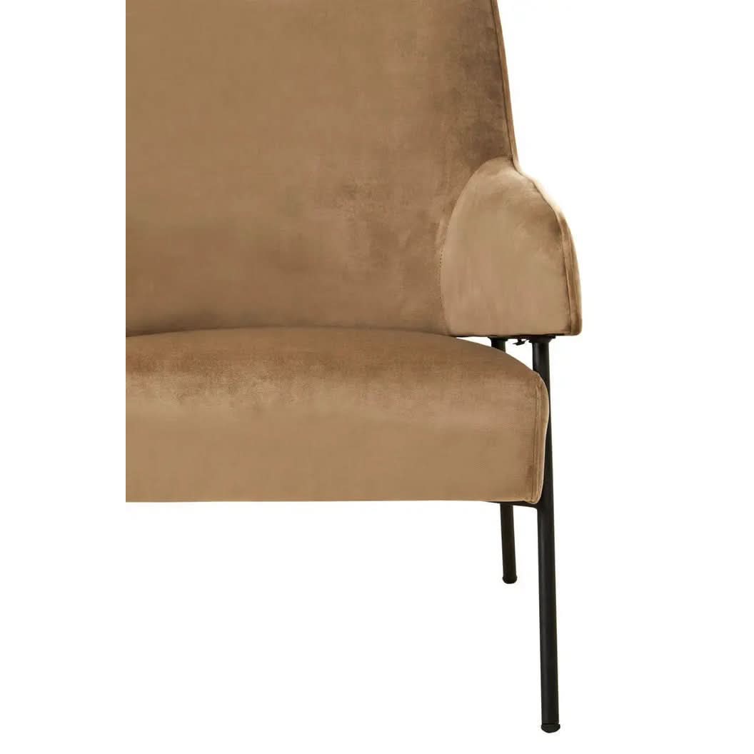 Havina Mink Velvet Chair   Nicholas John Interiors