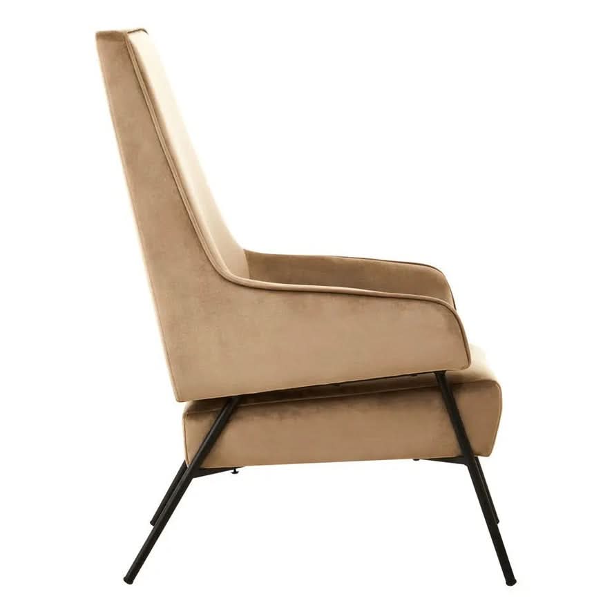Havina Mink Velvet Chair   Nicholas John Interiors