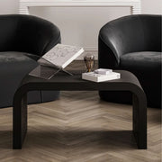 Ashford & Grey Lake Black Coffee Table  Nicholas John Interiors
