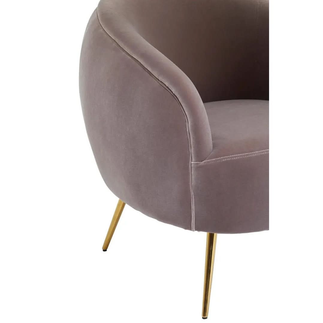 Montreal Mink Velvet Armchair   Nicholas John Interiors
