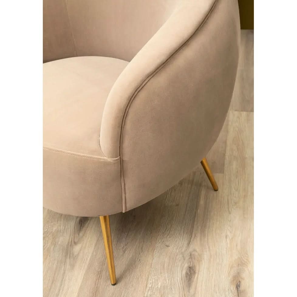 Montreal Mink Velvet Armchair   Nicholas John Interiors