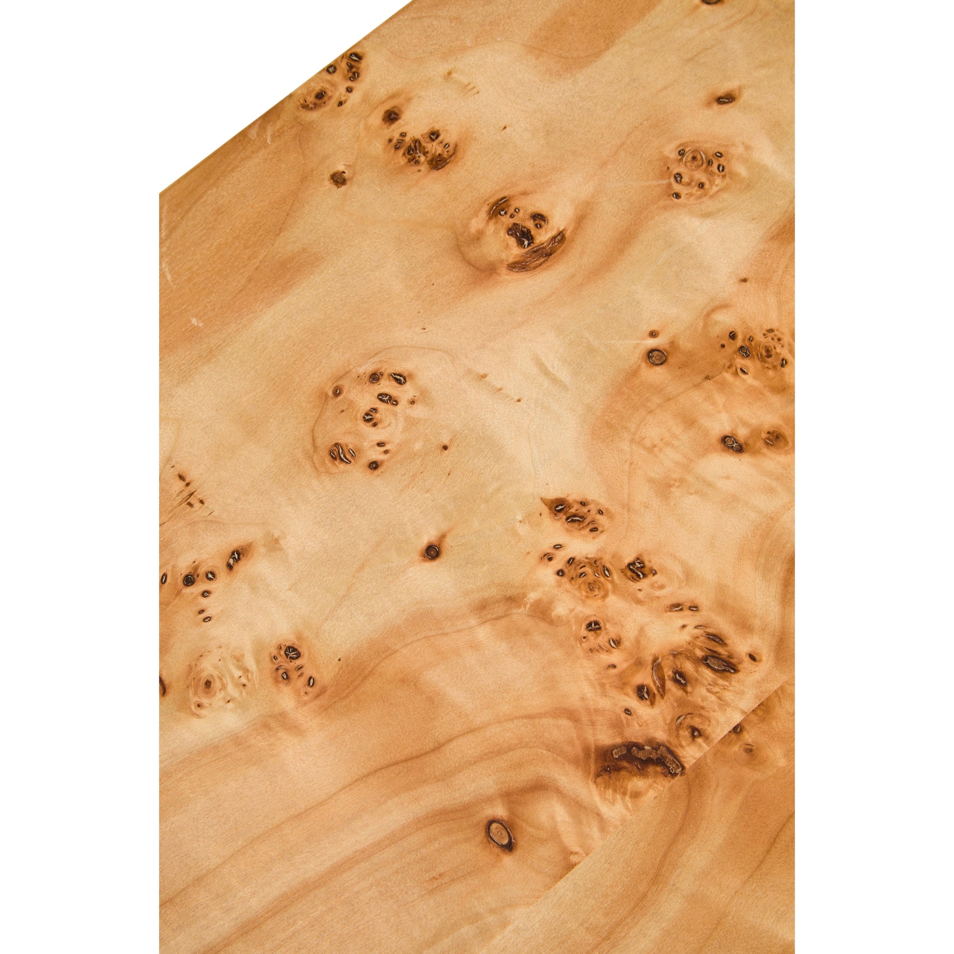 Motara Burl Wood Design Curved Coffee Table  Nicholas John Interiors