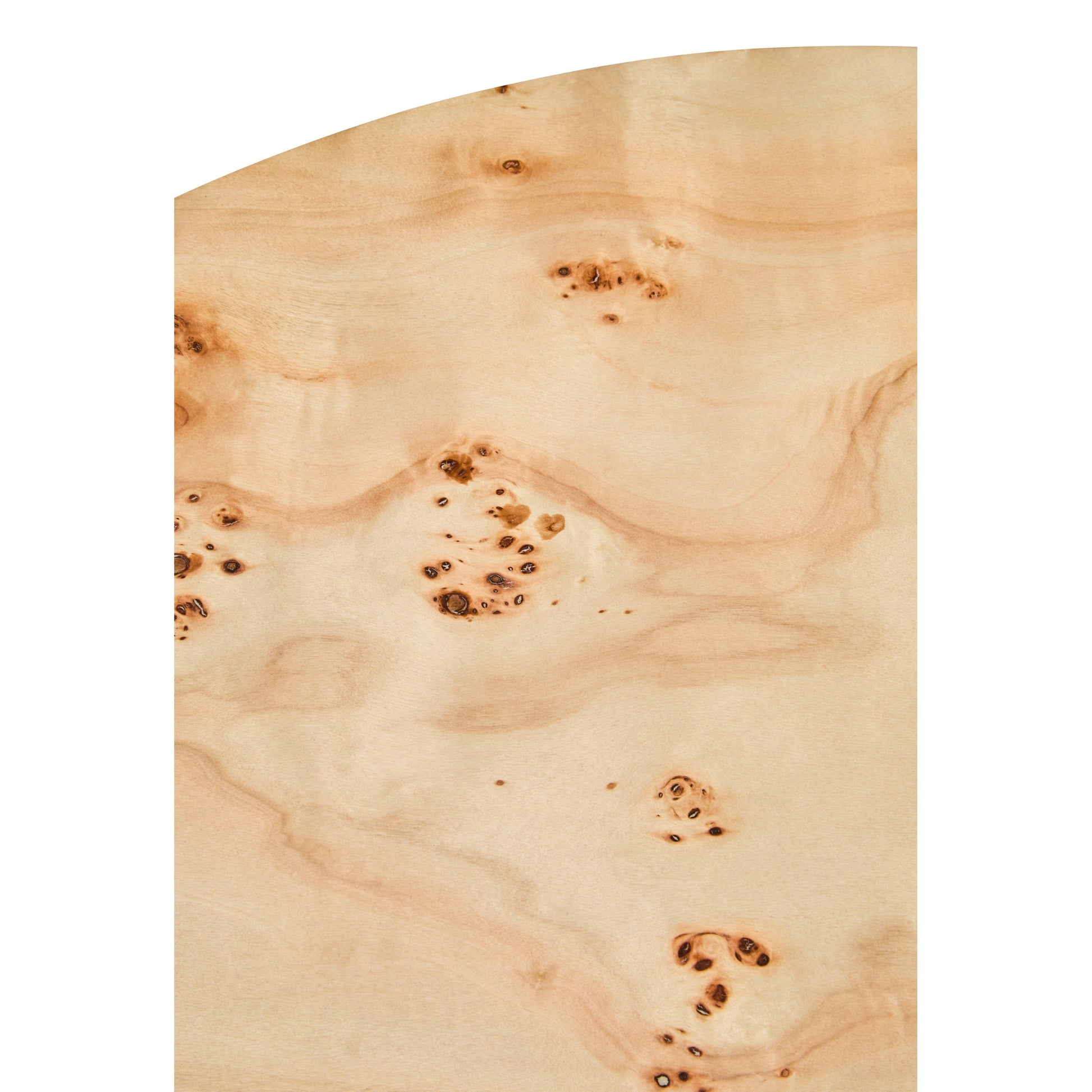 Motara Burl Wood Design Round Coffee Table  Nicholas John Interiors