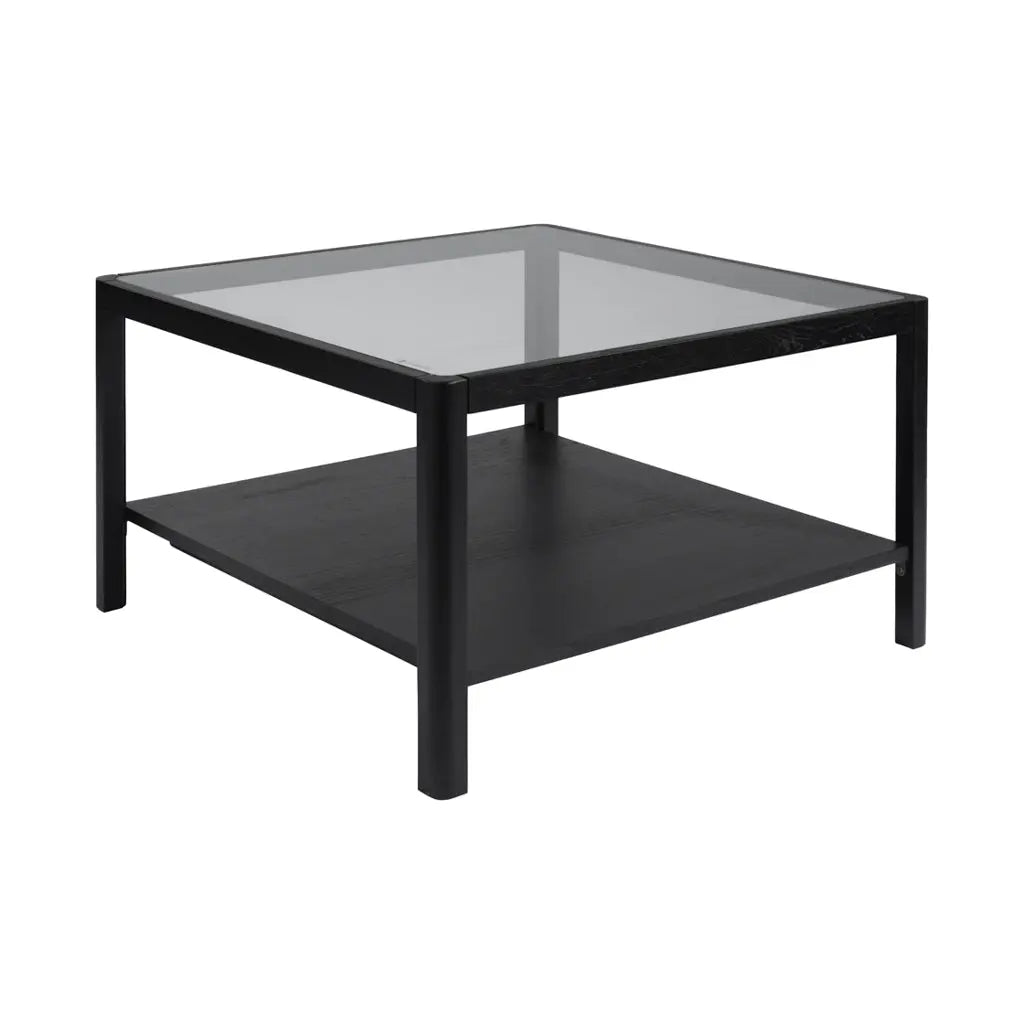 Ashford & Grey Ray Black Coffee Table