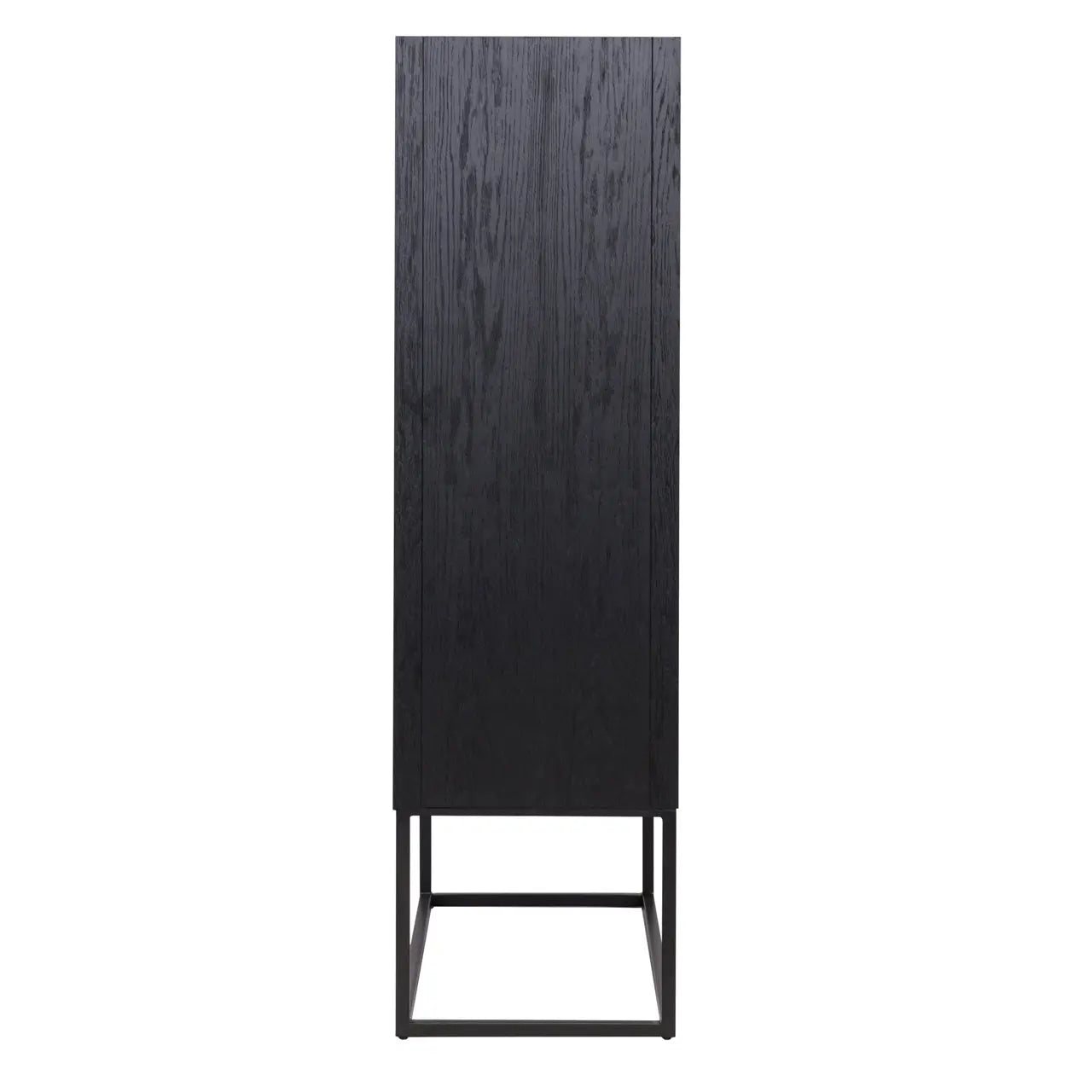 Richmond Interiors Blax 2-Door Black Oak Veneer Cabinet  Nicholas John Interiors