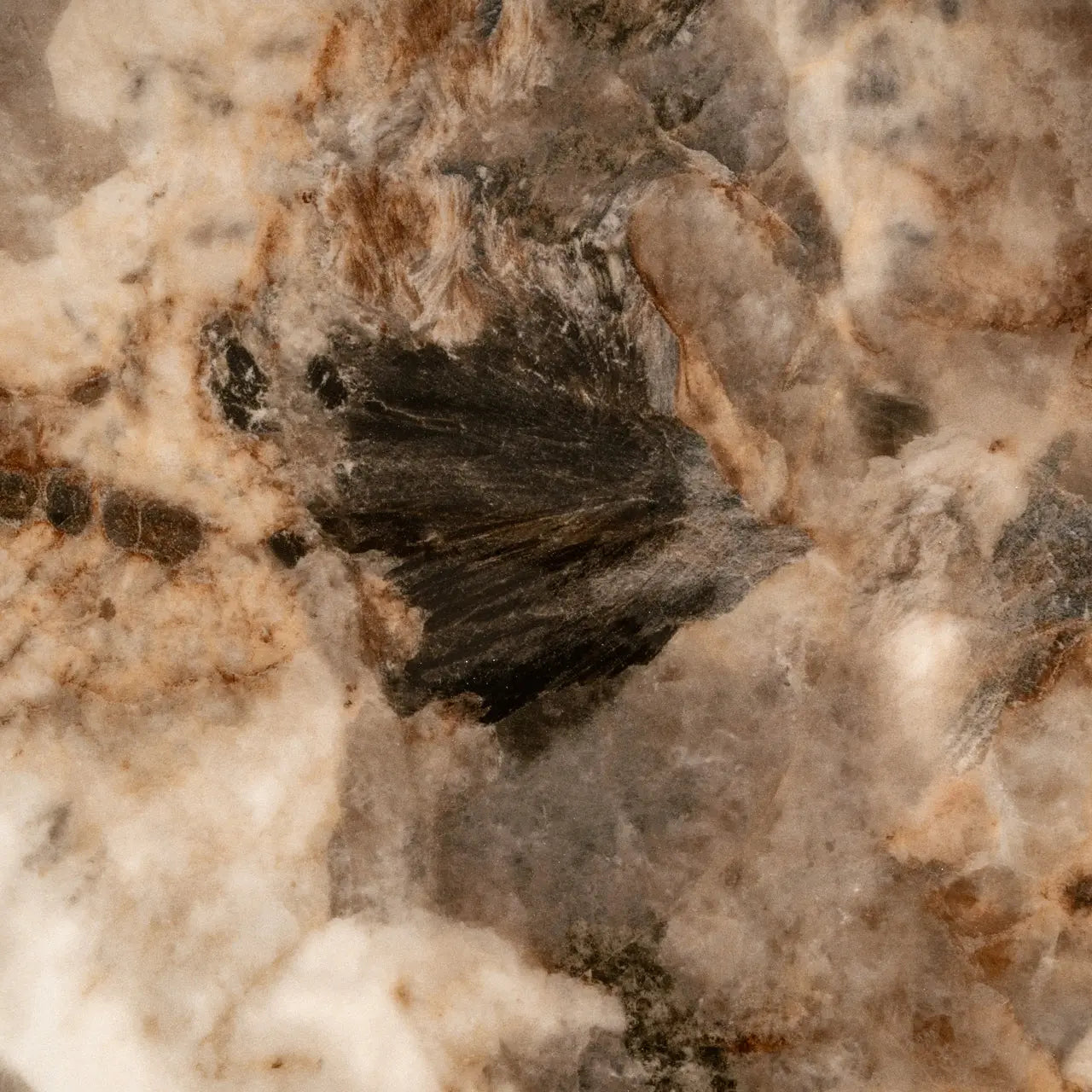 Richmond Interiors Langford Coffee Table in Brown  Nicholas John Interiors