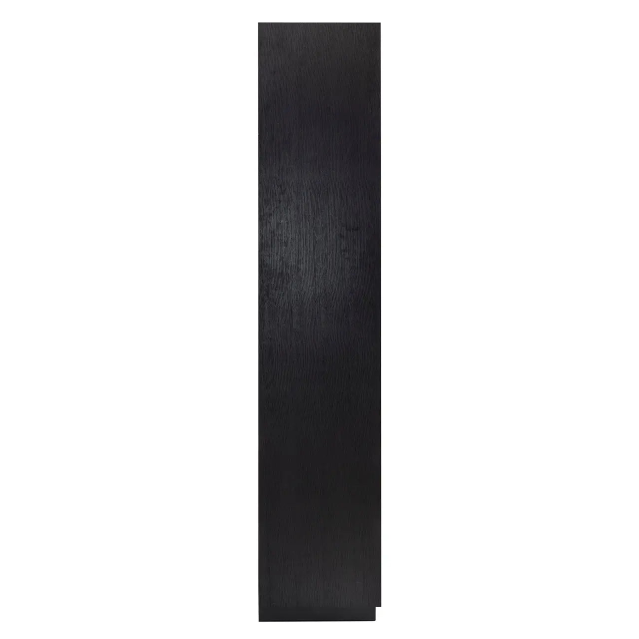 Richmond Interiors Oakura 2 Door Black Bookcase  Nicholas John Interiors