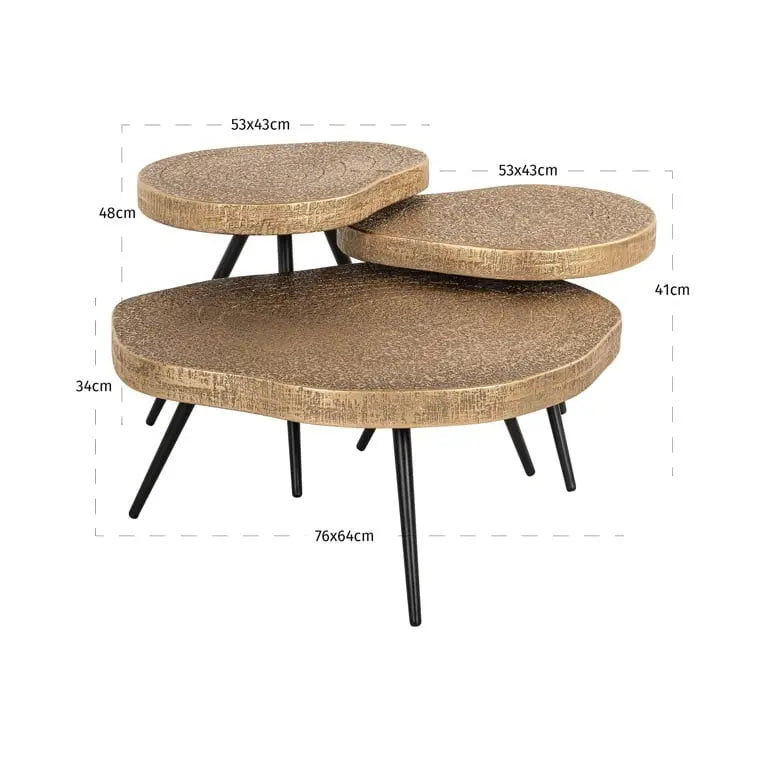 Richmond Interiors Symba Set of 3 Coffee Table in Bronze  Nicholas John Interiors