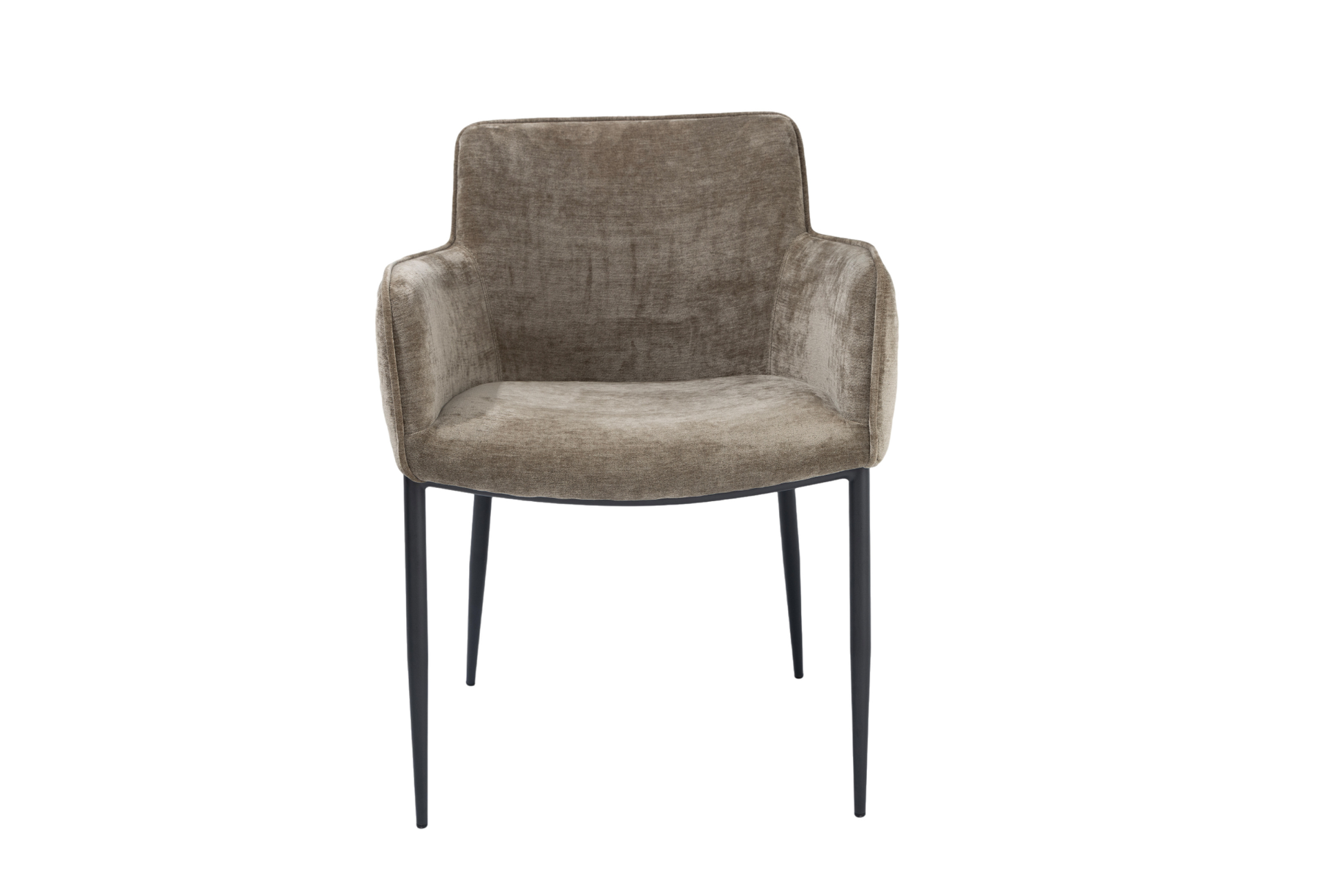 Kim Dining Chair - Gisele Olive   Nicholas John Interiors