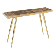 Veyra Petrified Wood Console Table with Brass Iron Legs  Nicholas John Interiors