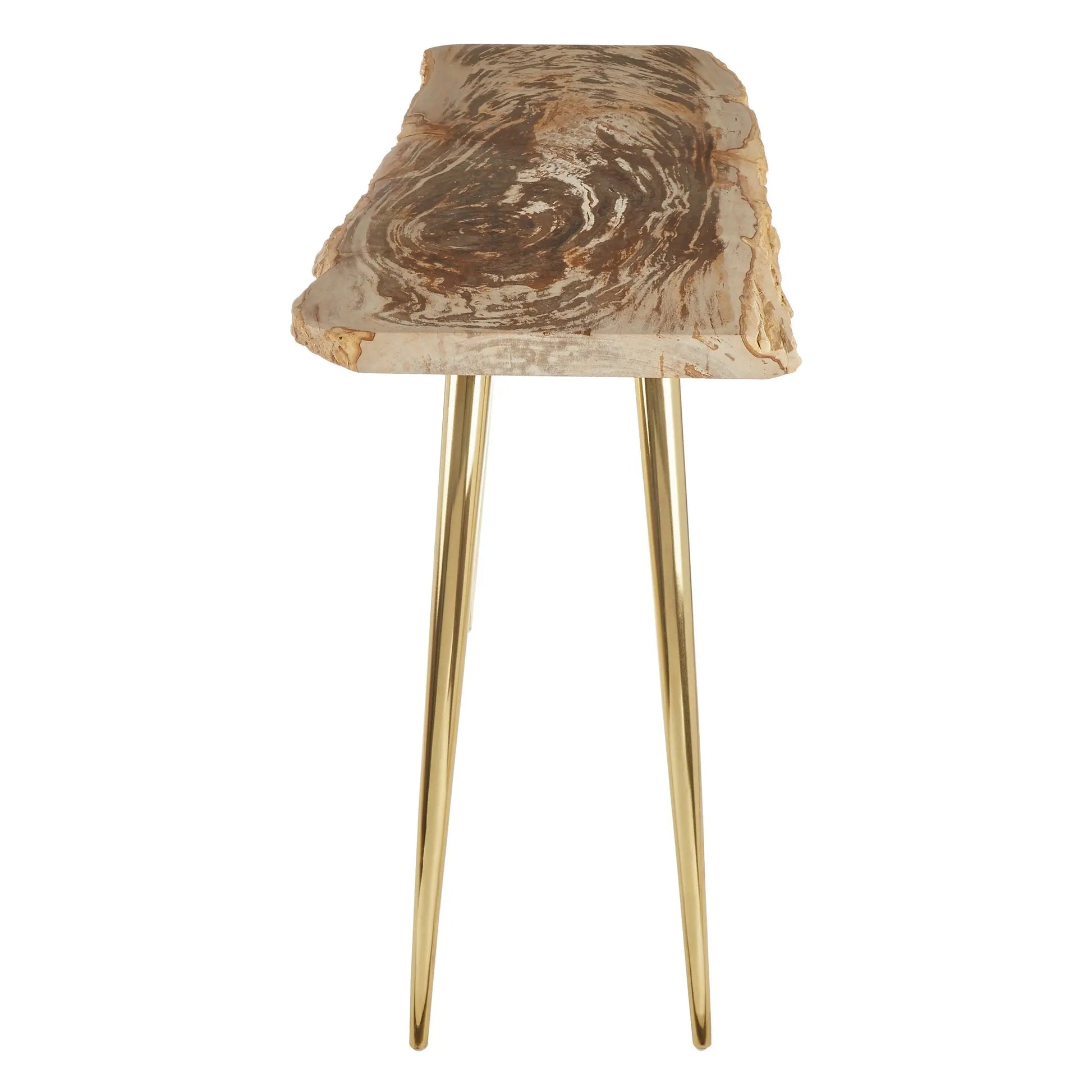 Veyra Petrified Wood Console Table with Brass Iron Legs  Nicholas John Interiors