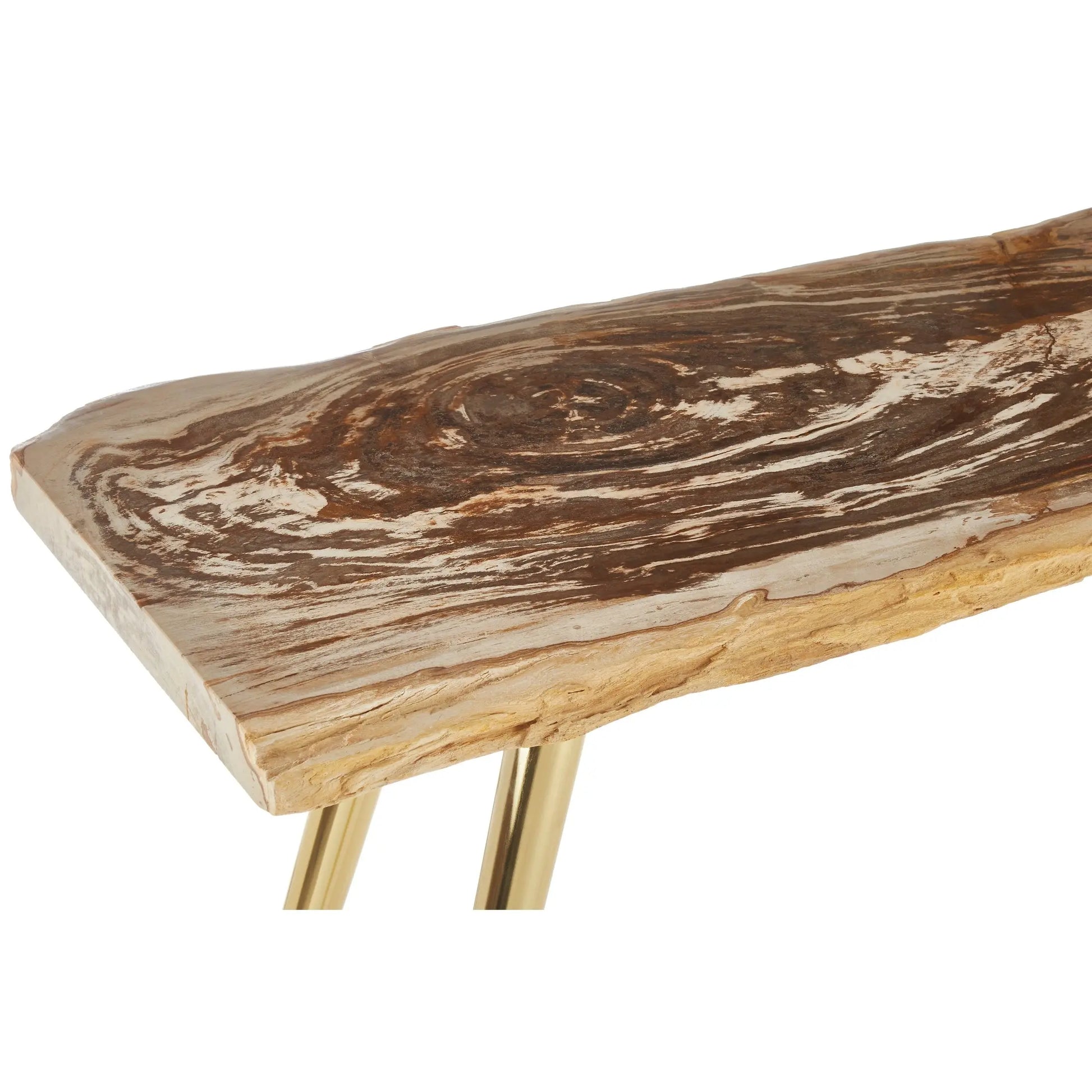 Veyra Petrified Wood Console Table with Brass Iron Legs  Nicholas John Interiors