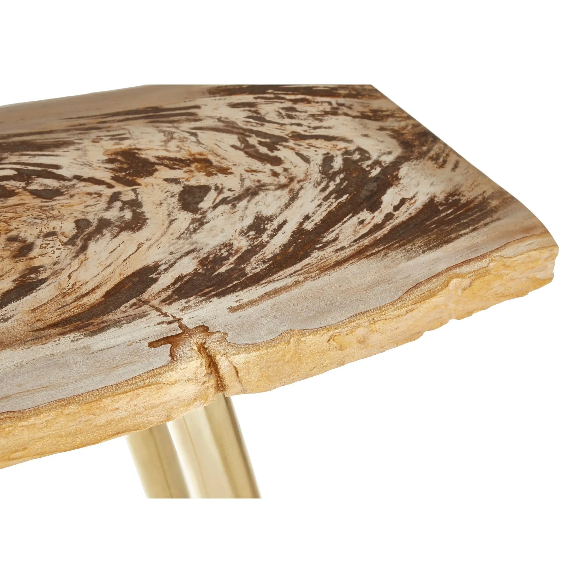 Veyra Petrified Wood Console Table with Brass Iron Legs  Nicholas John Interiors