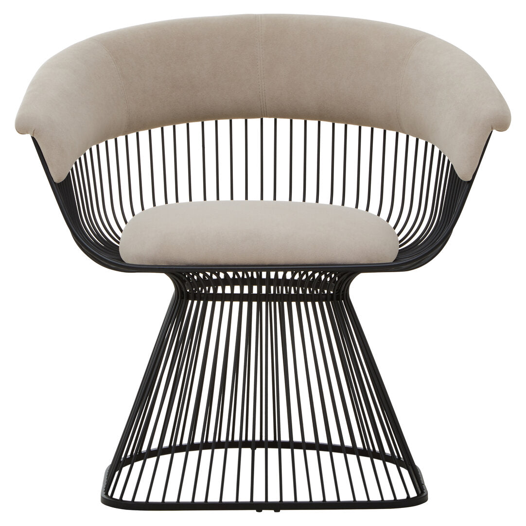 Vogue Mink Velvet and Black Frame Chair  Nicholas John Interiors