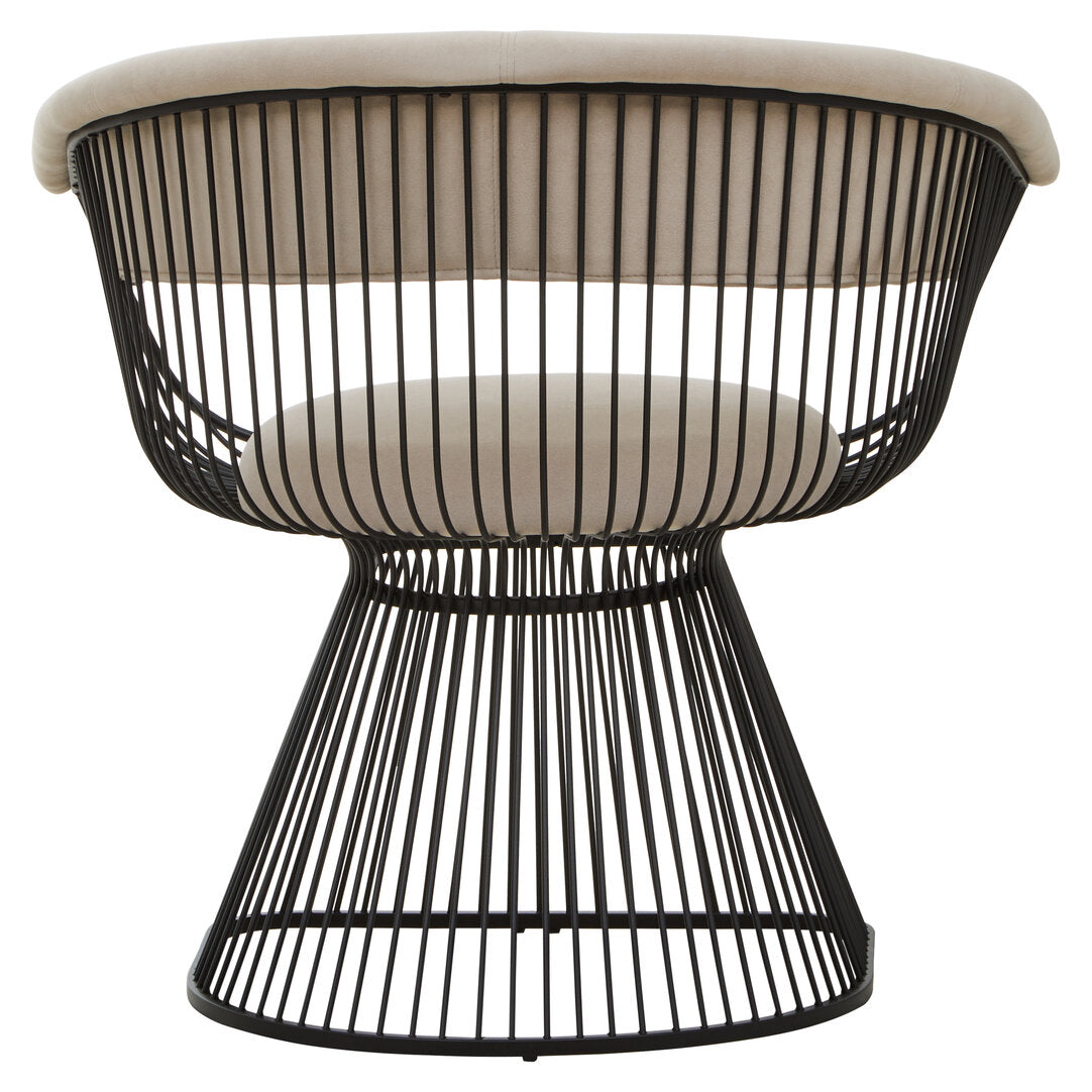 Vogue Mink Velvet and Black Frame Chair  Nicholas John Interiors