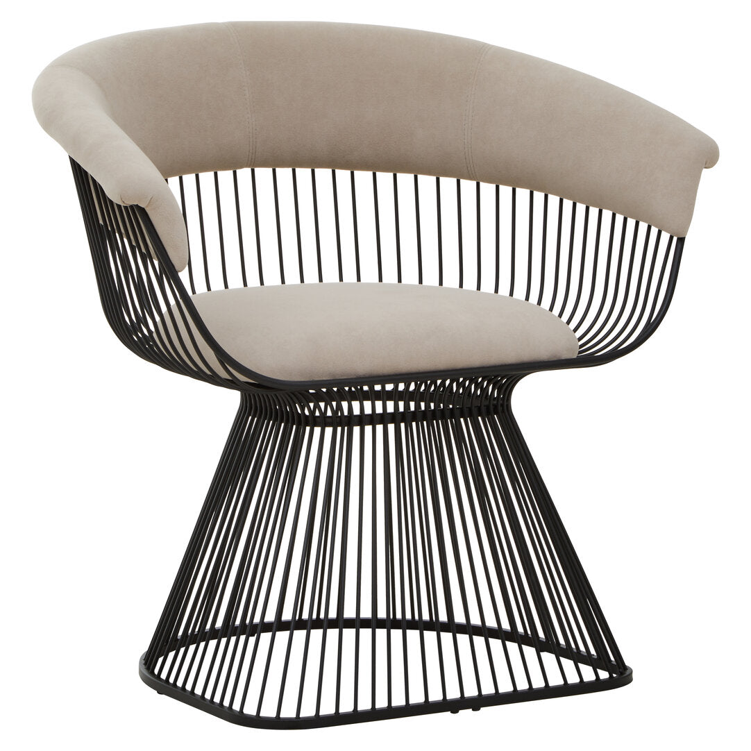 Vogue Mink Velvet and Black Frame Chair  Nicholas John Interiors