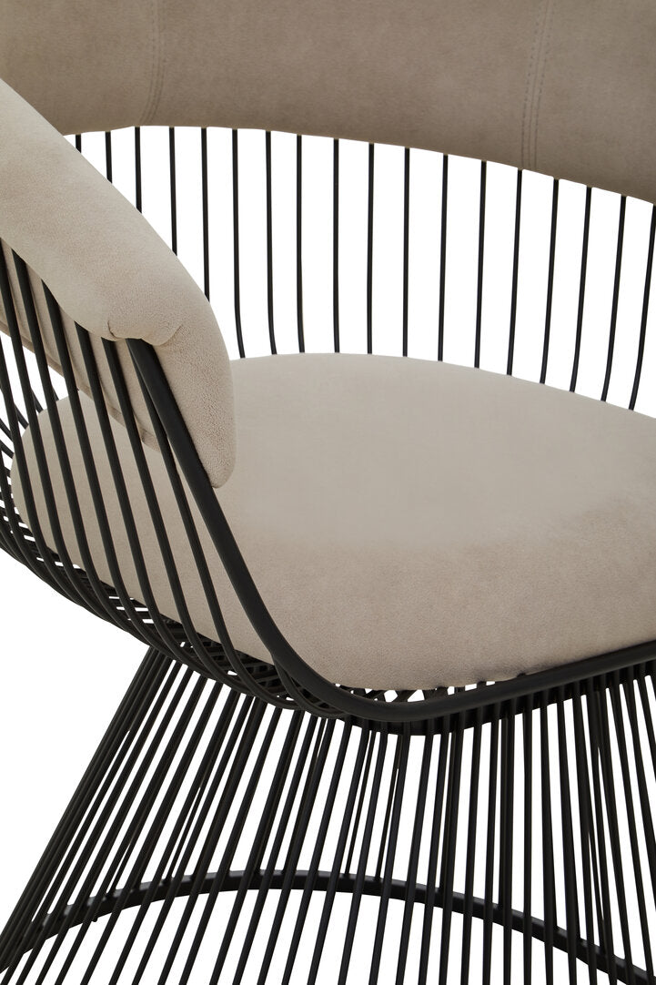 Vogue Mink Velvet and Black Frame Chair  Nicholas John Interiors