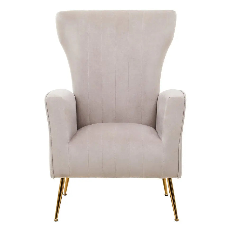 Zamora Mink Velvet Accent Chair with Gold Legs   Nicholas John Interiors