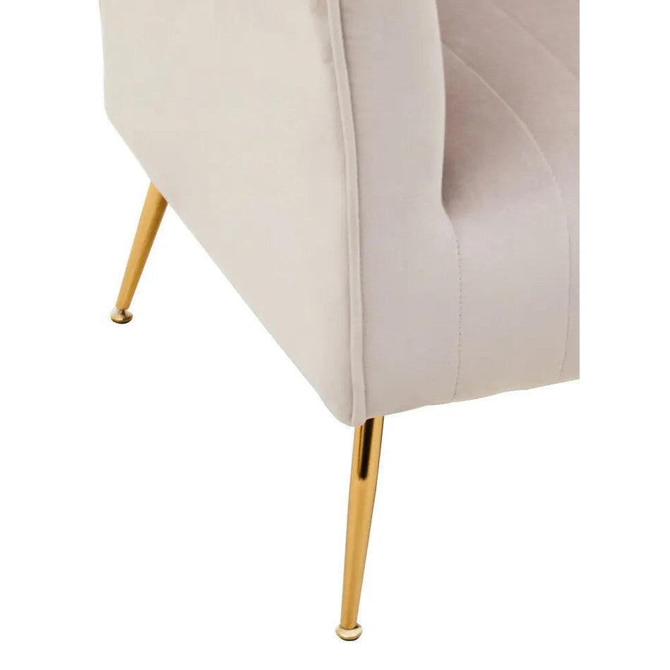 Zamora Mink Velvet Accent Chair with Gold Legs   Nicholas John Interiors