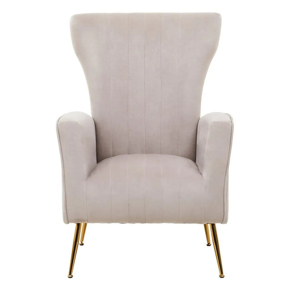 Zamora Mink Velvet Accent Chair with Gold Legs   Nicholas John Interiors