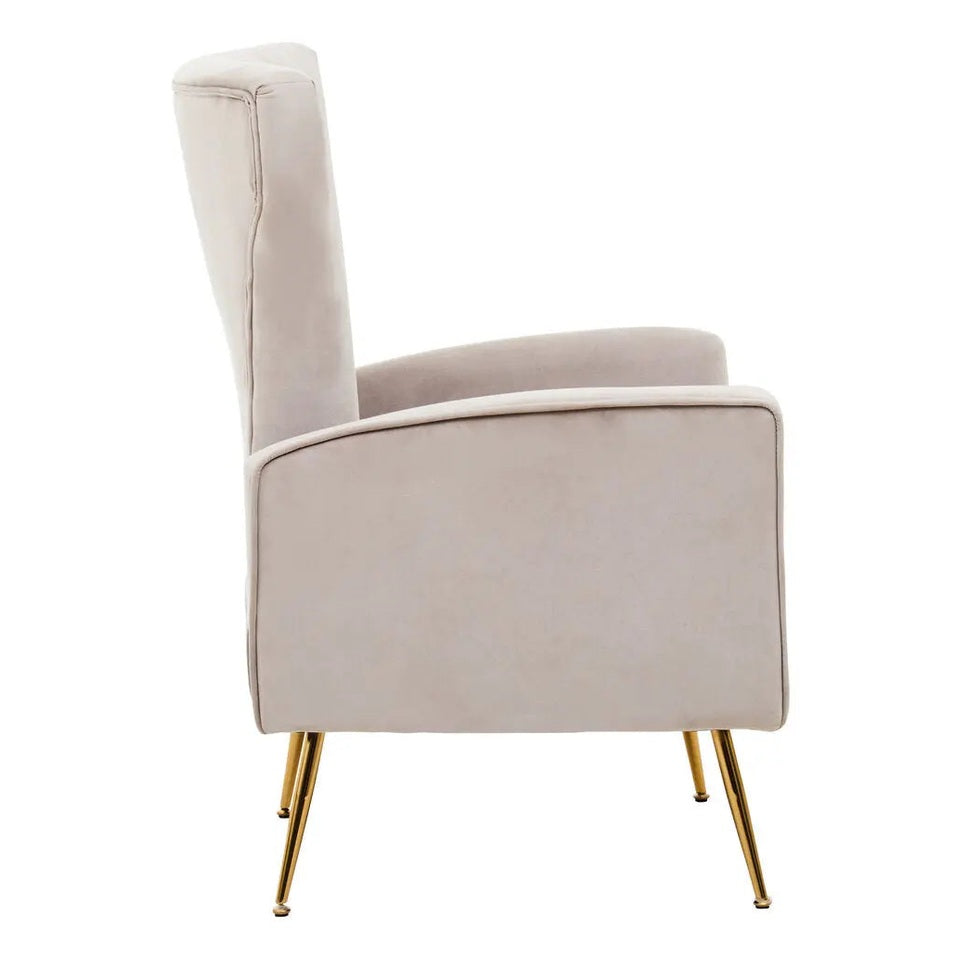 Zamora Mink Velvet Accent Chair with Gold Legs   Nicholas John Interiors