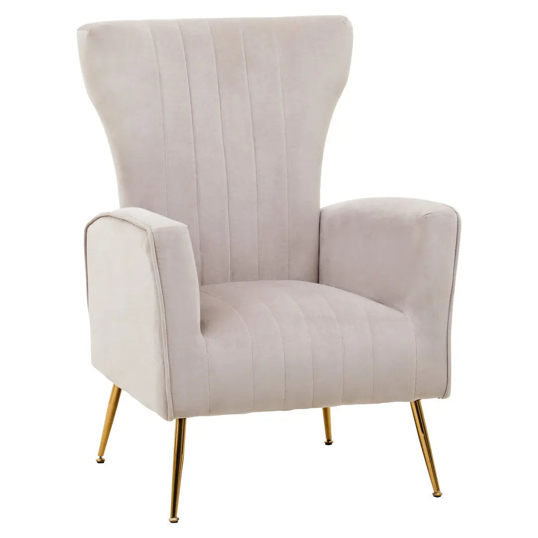 Zamora Mink Velvet Accent Chair with Gold Legs   Nicholas John Interiors