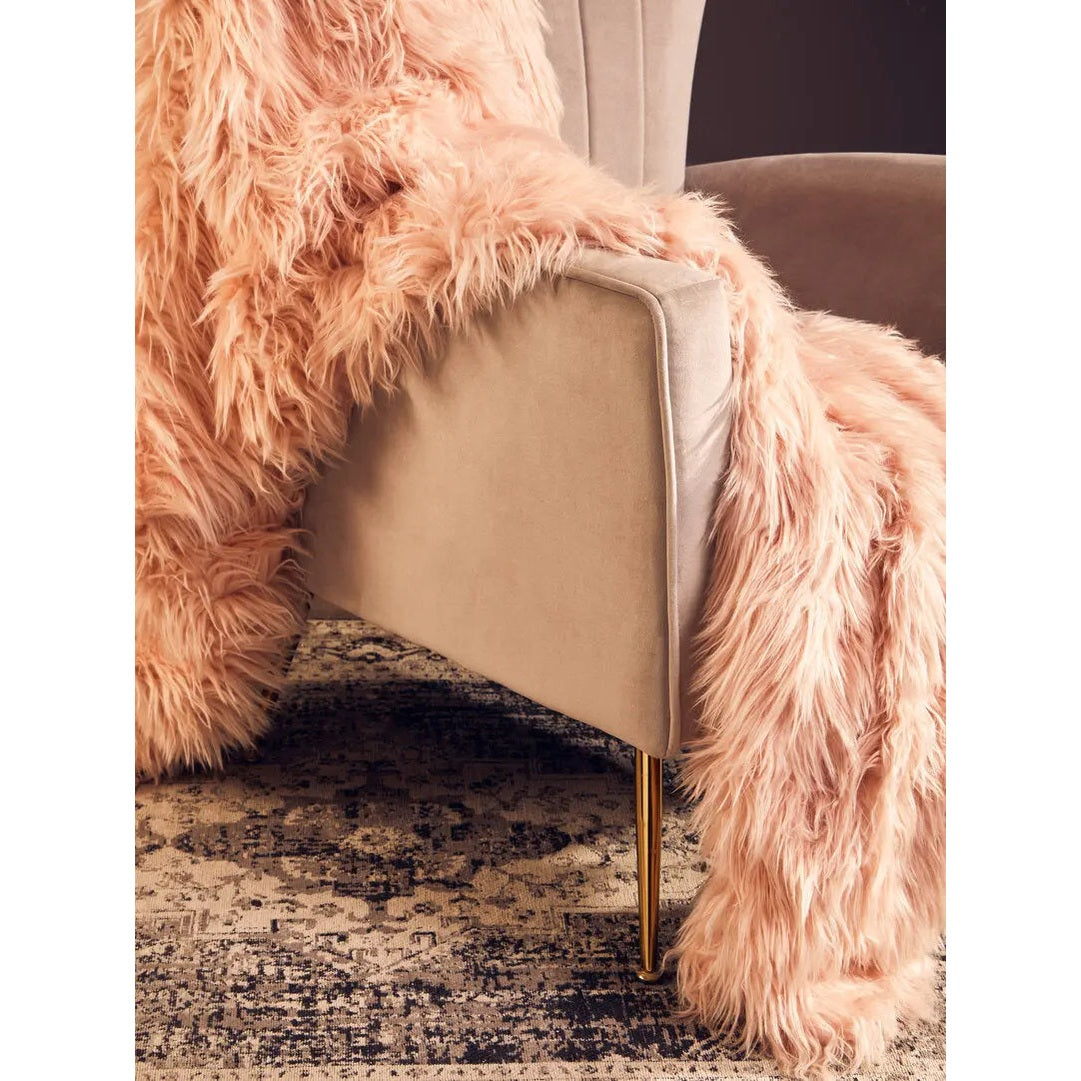 Zamora Mink Velvet Accent Chair with Gold Legs   Nicholas John Interiors