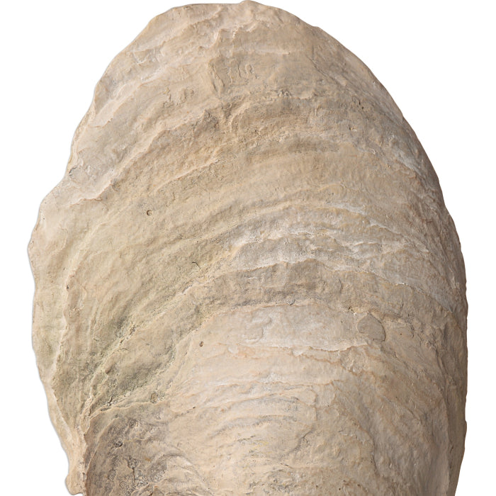 Uttermost Oyster Shell Sculptures, Set of 2