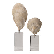  Oyster Shell Sculptures, Set of 2
