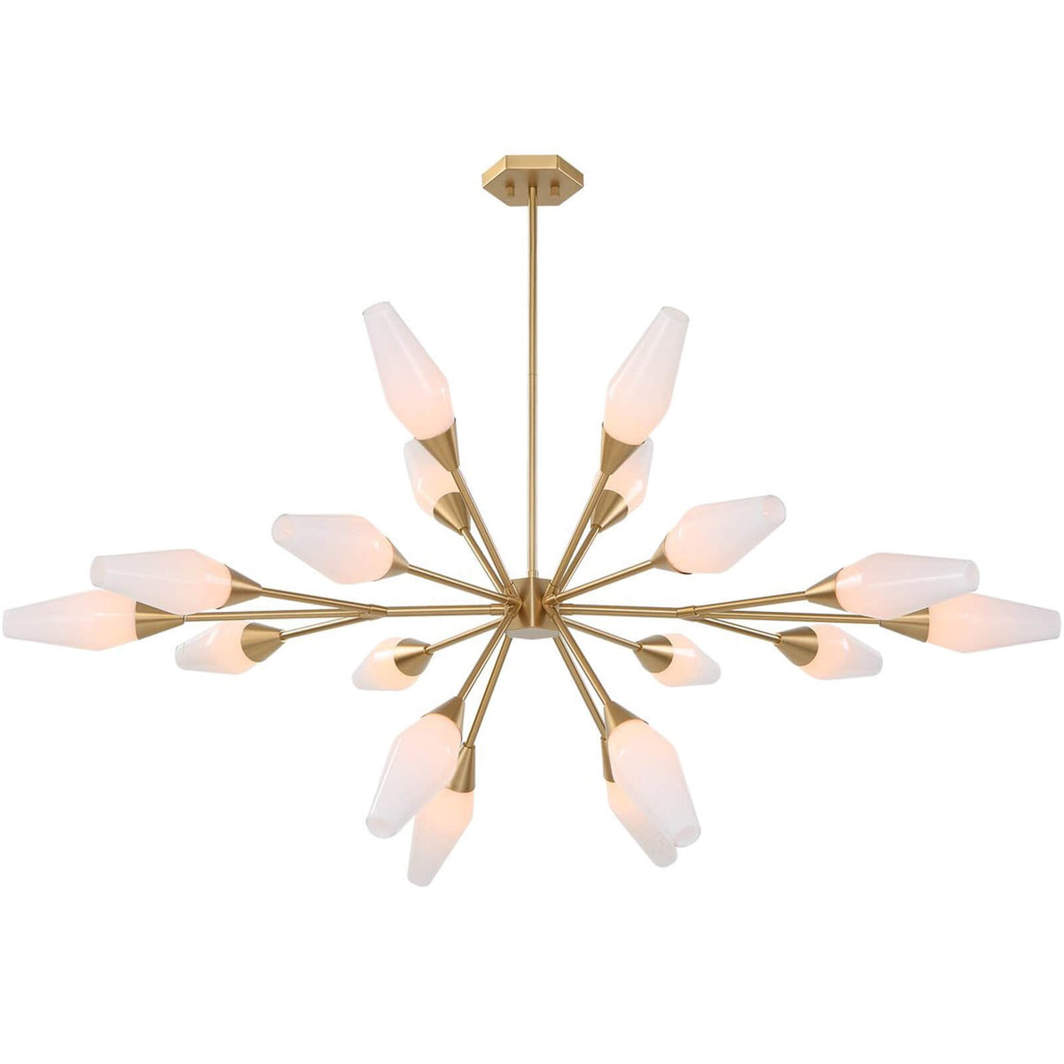 Agapanthus 18 Light Pendant in Brass