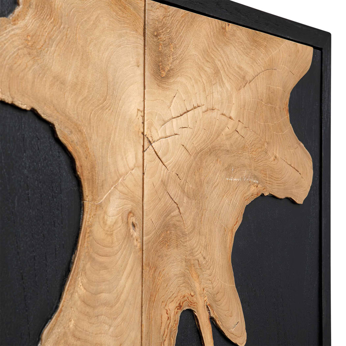 Uttermost Andrei Teak Root Storage Cabinet