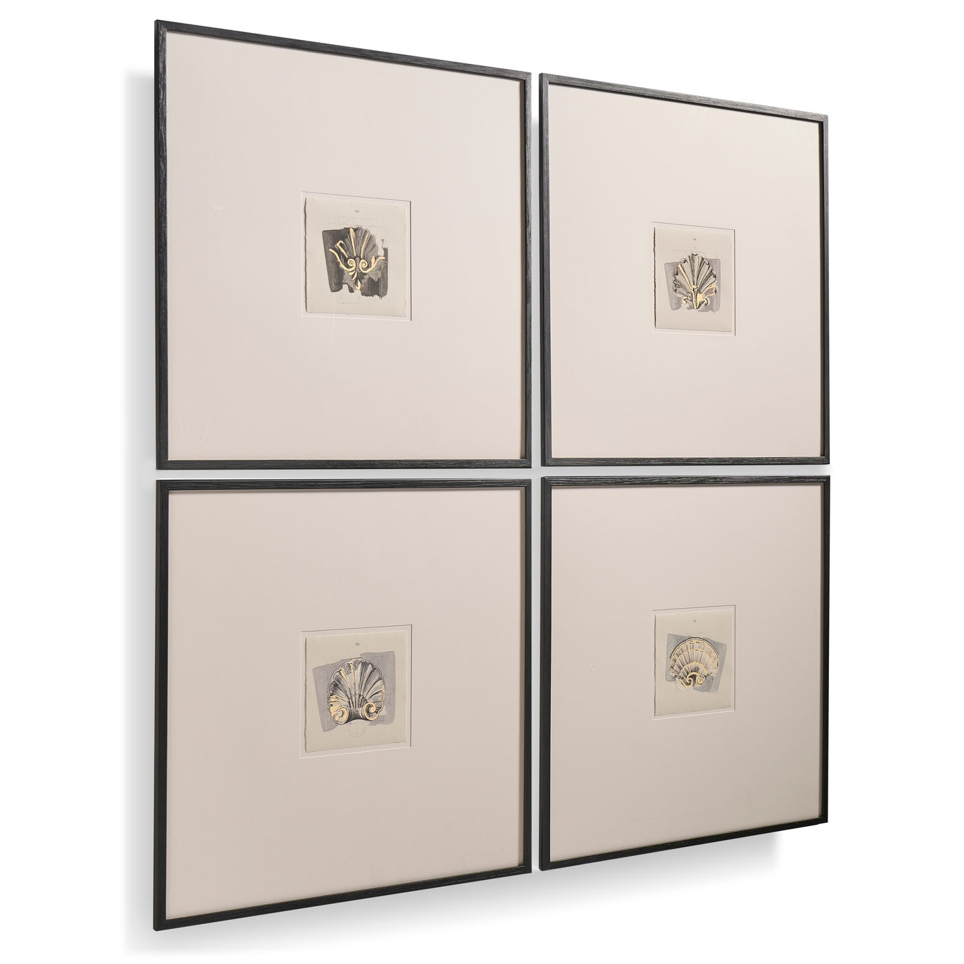 Jonathan Charles Architectural Clamshells Framed Prints - Set of 4