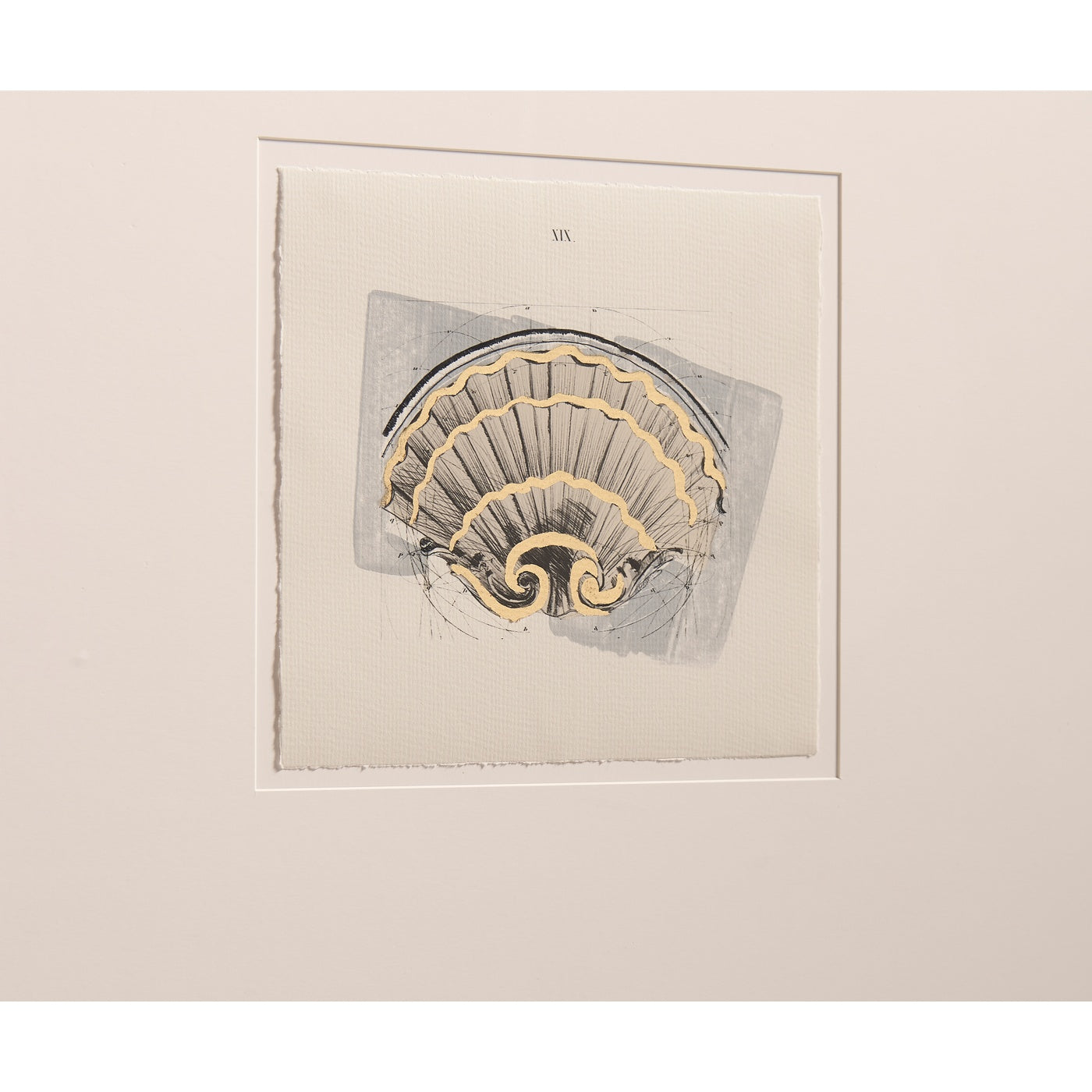 Jonathan Charles Architectural Clamshells Framed Prints - Set of 4