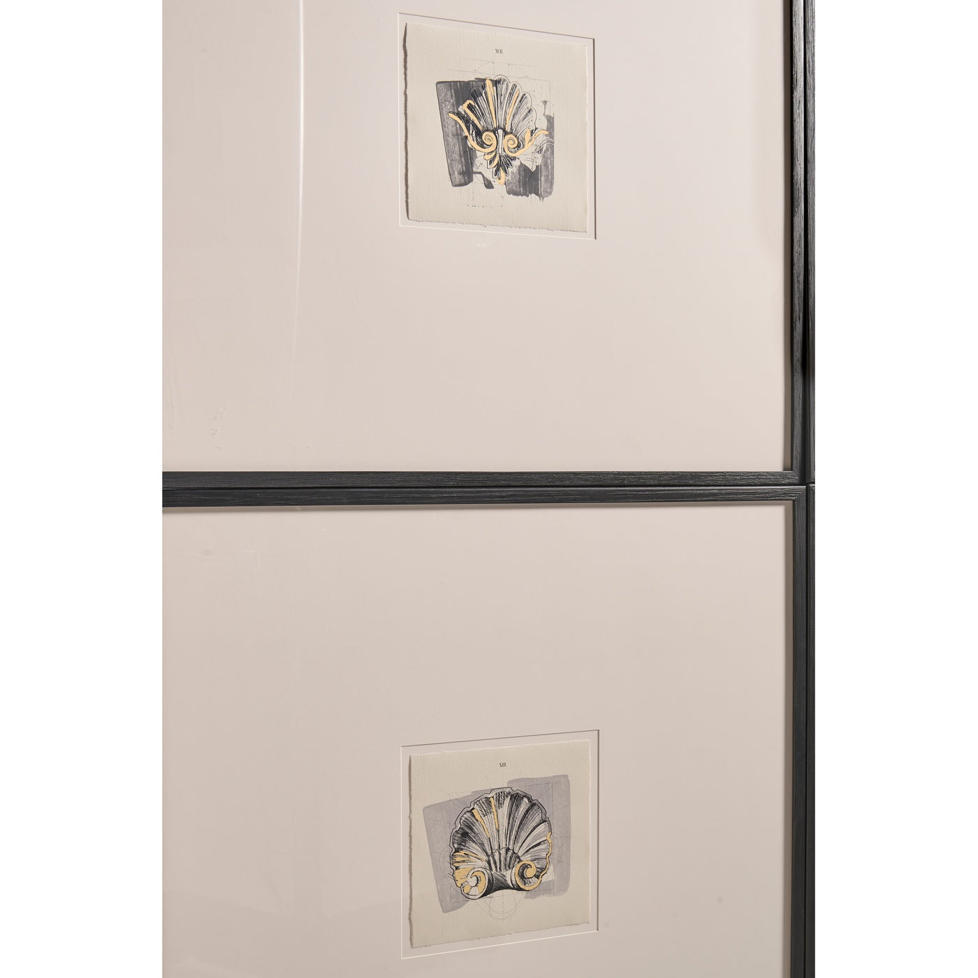 Jonathan Charles Architectural Clamshells Framed Prints - Set of 4