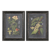  Midnight Botanicals Wall Art S/2