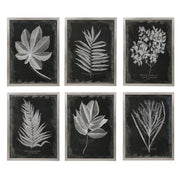 Foliage Framed Prints, S/6