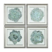  Natural Beauties Botanical Prints S/4