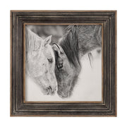 Horse Photography Framed Print in Black and White