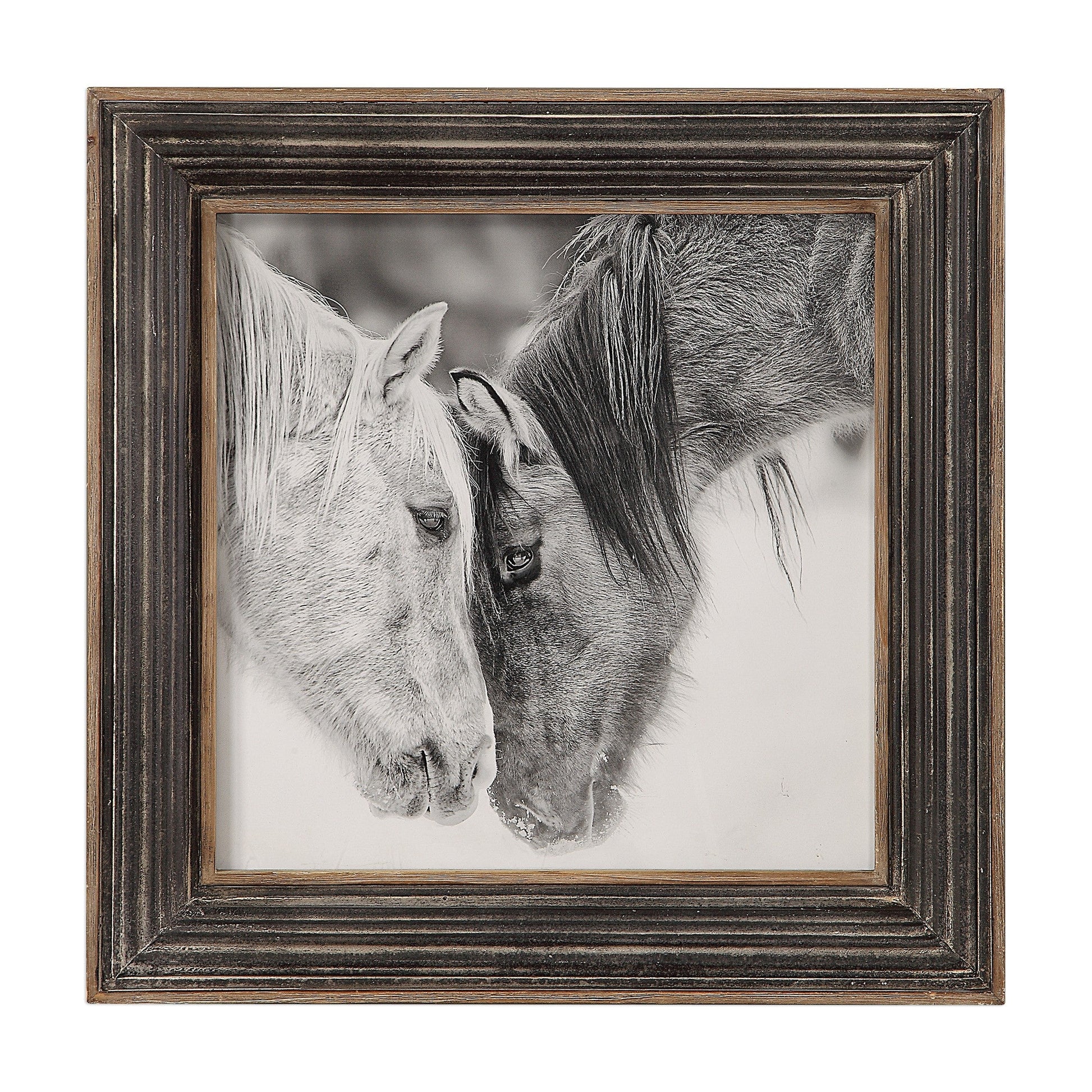 Horse Photography Framed Print in Black and White