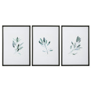  Simple Sage Watercolor Prints, S/3